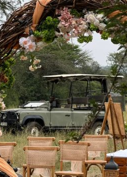 Live Showcase Events